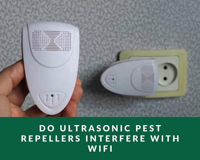 Beware the Buzz: Examining Potential Ultrasonic Pest Repeller Side Effects
