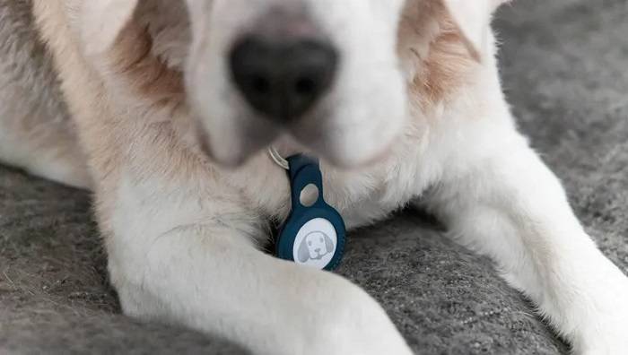 Practical Uses for a Dog AirTag