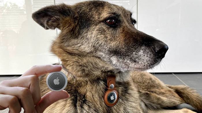 What is a Dog AirTag