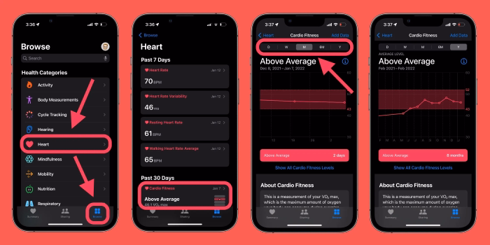 How Does Apple Watch Measure VO2
