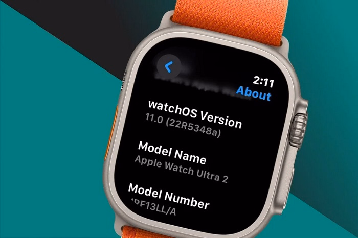 What is the Apple Watch A2774