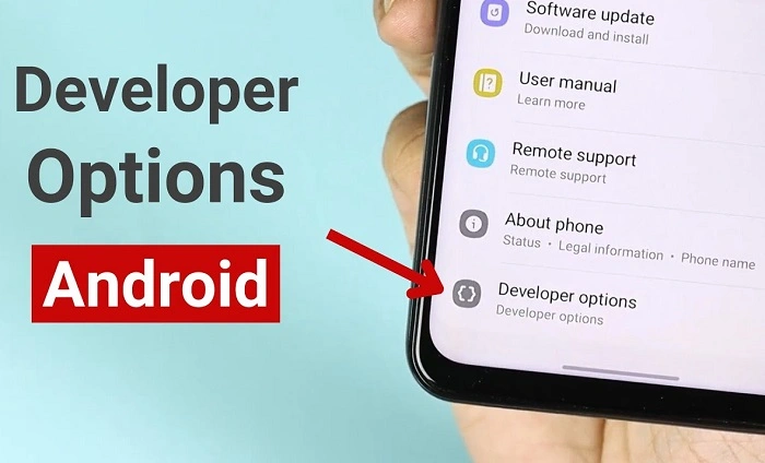 Turning Off with Developer Options Advanced Users 1